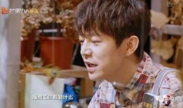 吃瓜网每日大赛 明星大侦探,明星大侦探精彩对决，揭秘悬疑真相