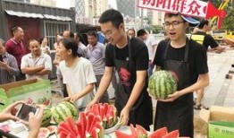 51朝阳吃瓜群众,揭秘吃瓜群众的幕后故事